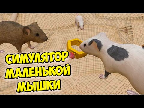 Видео: 😍СИМУЛЯТОР МЫШИ🐁Мышонок против кота Ухаживаю за питомцем