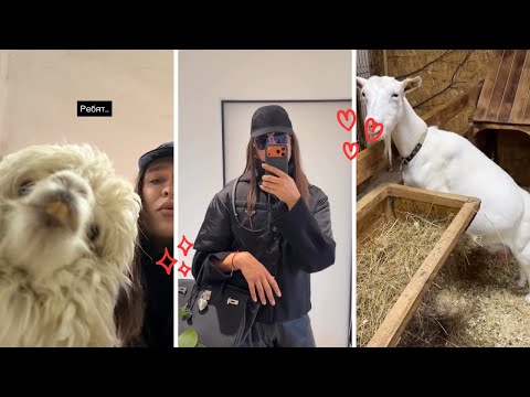 Видео: Жидковский сторис. Поехал на ферму. Кормлю животных из Birkin