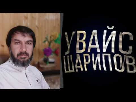 Видео: Хава