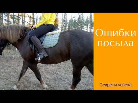 Видео: Ошибки всадника / Команда посыл / Дивные Кони