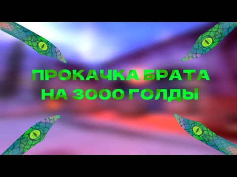 Видео: Нож за 0.03?🔥Прокачка брата на 3000 голды❤️