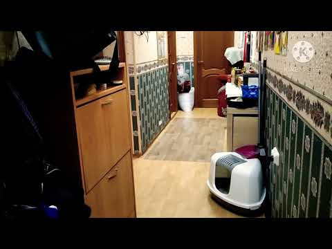 Видео: Долгожданный Обзор Квартиры! 🏢