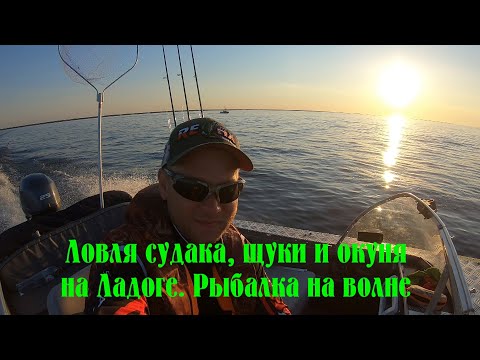 Видео: Ловля судака, щуки и окуня на Ладоге. Рыбалка из штиля в приличную волну.