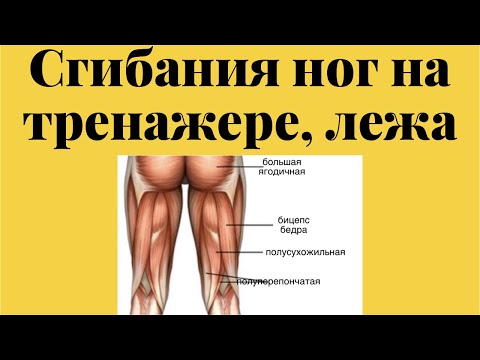 Видео: Сгибания ног на тренажере, лежа