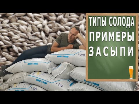 Видео: Типы солода. Примеры засыпи