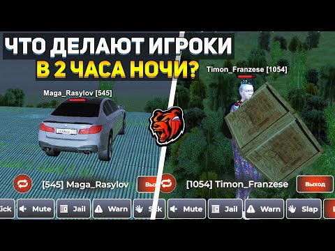 Видео: СЛЕЖУ ЗА ИГРОКАМИ в 2 ЧАСА НОЧИ на БЛЕК РАША
