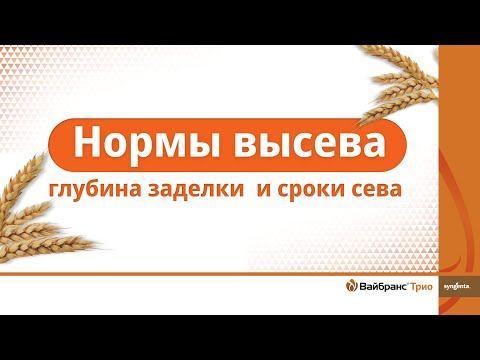Видео: Озимые PRO. Нормы высева, глубина заделки  и сроки сева