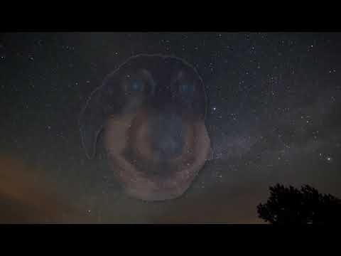 Видео: Dawg stream 28.08.20(Болтовня, Видосы, Azur Lane)