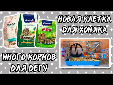 Видео: ПОКУПКИ ИЗ ЗООМАГАЗИНА. Обзор новой клетки для хомяка. Товары для дегу, хомяка