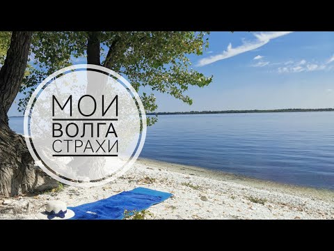 Видео: Серия 6. Отпуск с котом