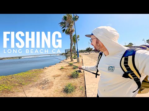 Видео: Я поймал более 20 рыб за 4 часа, Лонг-Бич, Калифорния