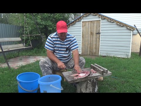 Видео: Что поймал То и засолил/Карась на червя