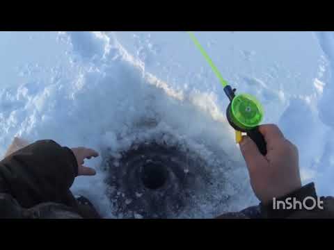 Видео: еребул куннэр 04.02.2023г. Намский улус. подледка