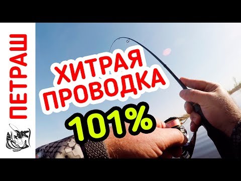 Видео: Рыбалка! ОКУНЬ и СУДАК дуреет от этой проводки! Микроджиг