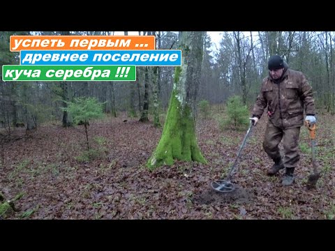 Видео: ДОБРАТЬСЯ ПЕРВЫМ и ВЫКОПАТЬ КУЧУ ИМПЕРСКОГО СЕРЕБРА! ПОИСК ЗЛАТА СЕРЕБРА С КОНСТАНТИНОМ
