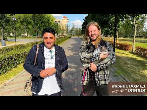 Видео: Арсений Бородин и его кот Мартин // #приВЕТАХМЕД