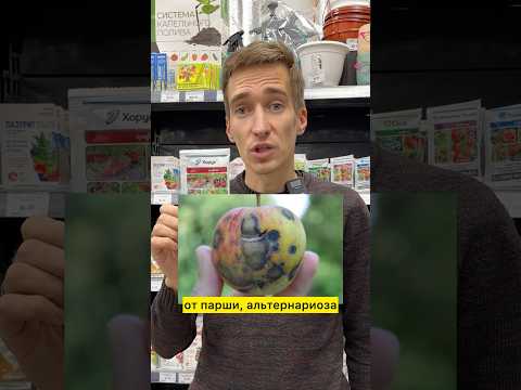 Видео: КАКОЙ ФУНГИЦИД РАБОТАЕТ ПРИ НИЗКИЙ ТЕМПЕРАТУРАХ⁉️