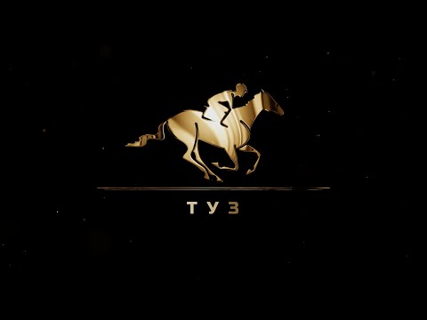 Видео: PRO_ЛОШАДЕЙ. ТУЗ