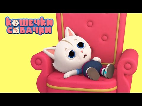 Видео: КОШЕЧКИ-СОБАЧКИ | Маленький король - Серия 15