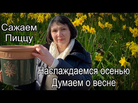 Видео: Vlog 424 - Осенние работы в Английском саду