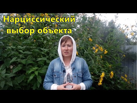 Видео: Нарциссический выбор объекта. Нарциссические отношения