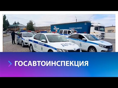 Видео: Как часто вы обращаете внимание на правонарушителей на дорогах?