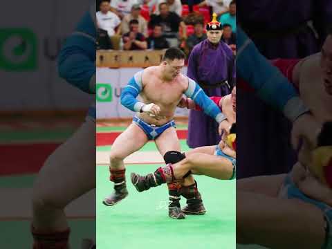 Видео: 2024 оны Бүх цэргийн наадамд Сумын заан Д. Цэрэнням түрүүлж "Цэргийн Арслан" цол хүртлээ. 👏🇲🇳