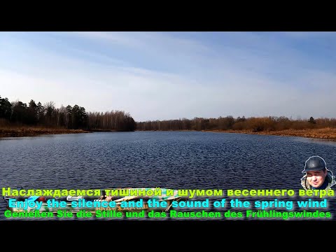 Видео: Наслаждаемся тишиной и шумом весеннего ветра.
