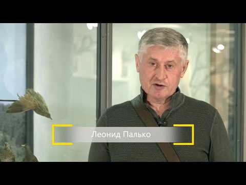 Видео: Охотничий минимум. Выпуск 3