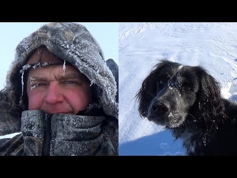 Видео: Один в тайге | Экстремальная ночёвка в мороз | -35 в летней палатке и спальнике | Готовка на костре