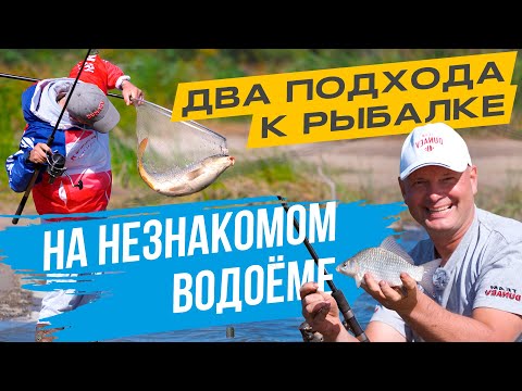 Видео: ДВЕ ДОНКИ на НЕЗНАКОМОМ водоёме. Разные подходы - РАЗНЫЕ УЛОВЫ!
