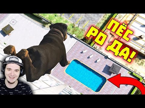 Видео: Лютые приколы в играх ► WDF 161 - ФУС РО ДА! | Реакция