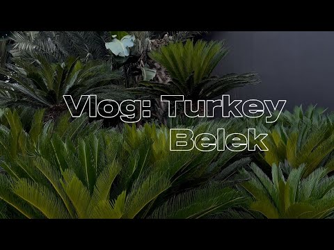 Видео: Vlog : Турция | Белек | Отель Voyage | День рождение брата