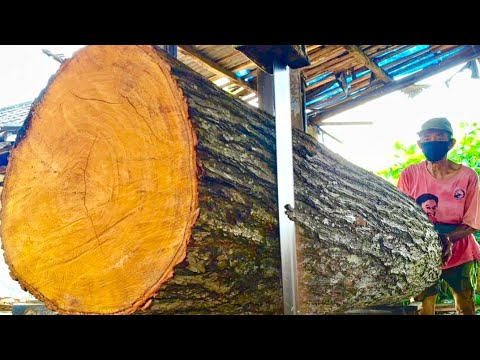 Видео: Распиловка большого красного дерева на доски размером 3X25 см