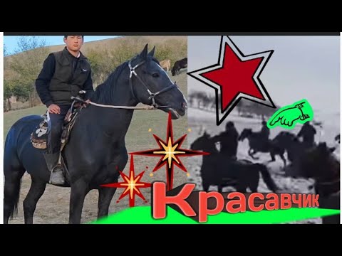 Видео: Красавчик