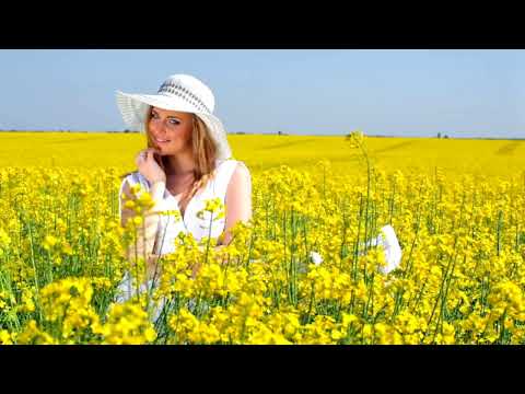 Видео: НЕ ВЫБИРАЙ КРАСИВУЮ...Слова: Валентина Пудова!