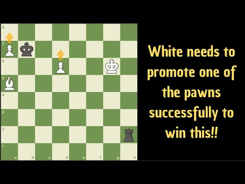 Видео: Здесь играют белые и выигрывают!