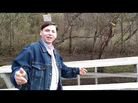 Видео: Карманово, Мочаровка 2020