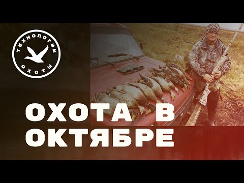 Видео: Охота в октябре - пока нет северной утки