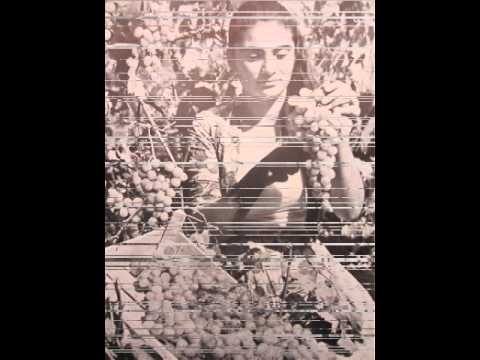 Видео: Плевен. Разходка в миналото /част 1/. 1962 г.