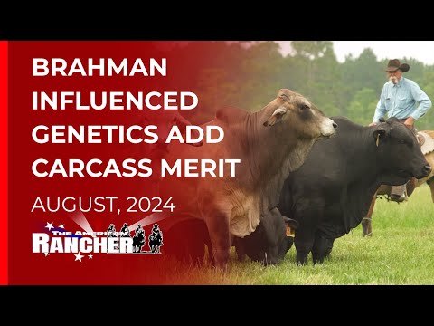 Видео: Circle F Farms Американский фермер 08 12 2024