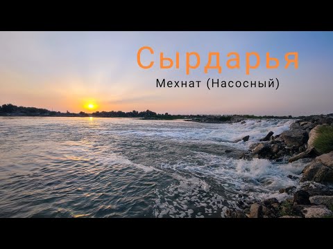 Видео: Сырдарья, Мехнат, 27.07.2025г.