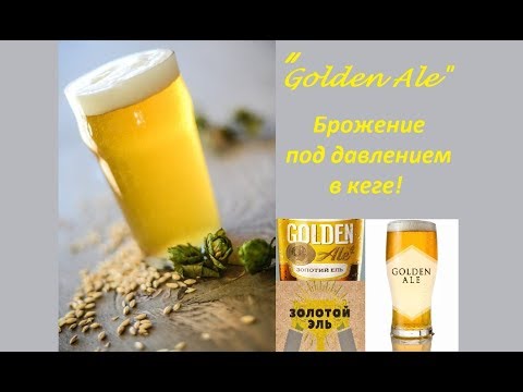 Видео: "Golden Ale". Брожение под давлением в кеге!