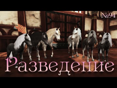 Видео: │Alicia Online Breeding №94│~ Булки, вороны фуллки. Куча новостей и мое возвращение.