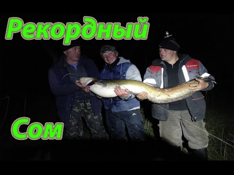 Видео: Ловля Сома весной.Трофейный сом 20ку