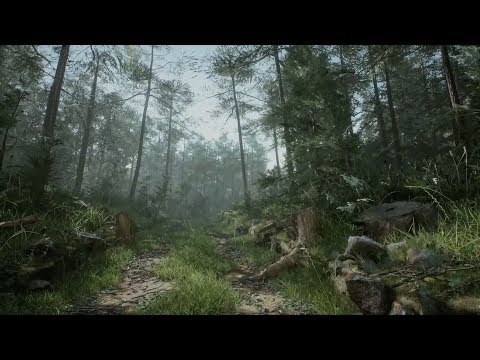 Видео: Создание леса за 1 час в Unreal Engine 4. На русском