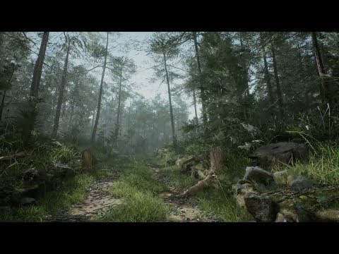 Видео: Создание леса за 1 час в Unreal Engine 4. На русском