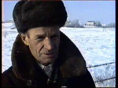 Видео: Розстріляний Вертеп