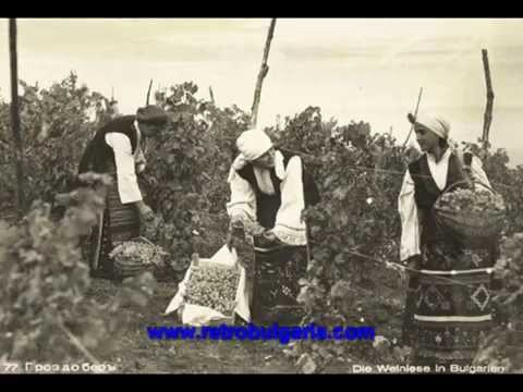 Видео: Айде брала мома бело ми гройзе - Костадин Гугов