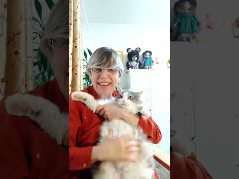 Видео: Про корм для кошек. Прогулка для собак. Февраль 2024